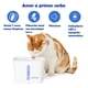 thumbnail image 5 of Bebedero para mascotas Viva PetSafe, 5 of 5