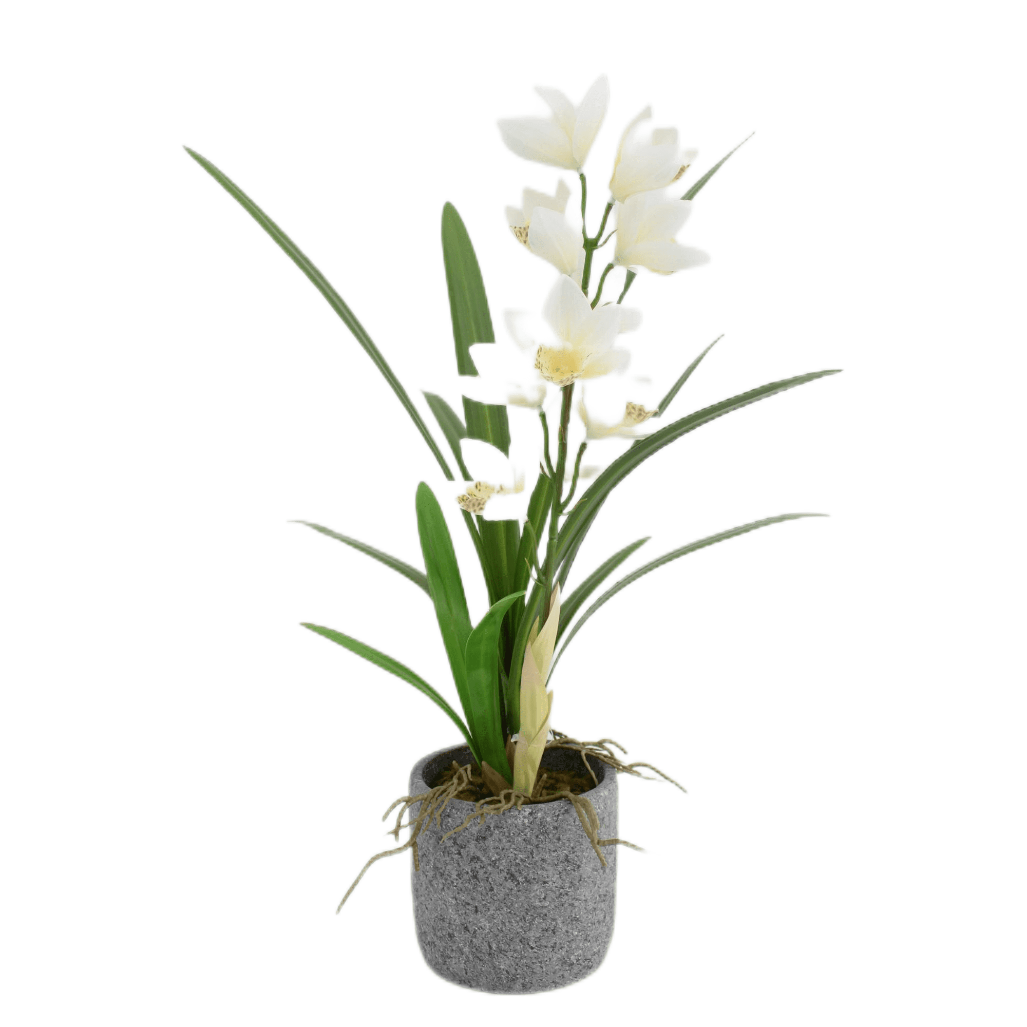 Vadell - Orquidea Silvestre Blanco En Macetero 56cm