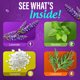 thumbnail image 3 of Tabletas para ducha GuruNanda Lavender, 5 unidades, 3 of 3