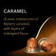 thumbnail image 3 of Paquete variado de 30 cápsulas de café L'OR Espresso para Nespresso, 3 of 9