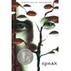 thumbnail image 1 of Speak – Farrar, Straus and Giroux (Libro), 1 of 1
