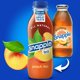 thumbnail image 5 of Snapple Té 12‑pack 473 ml Sabores surtidos, 5 of 6