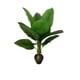 thumbnail image 1 of Planta Artificial Tipo Arum Americano. Altura: 100CM, 1 of 2
