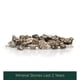 thumbnail image 4 of Santevia de repuesto de Mineral Stones para sistema de agua por gravedad, 4 of 6