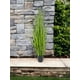 thumbnail image 2 of Pasto Crespo 122cm Artificial, 2 of 3