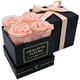 thumbnail image 1 of Flores preservadas Chloe's Graceful Fleurs – 4 rosas de tono melocotón, 1 of 6