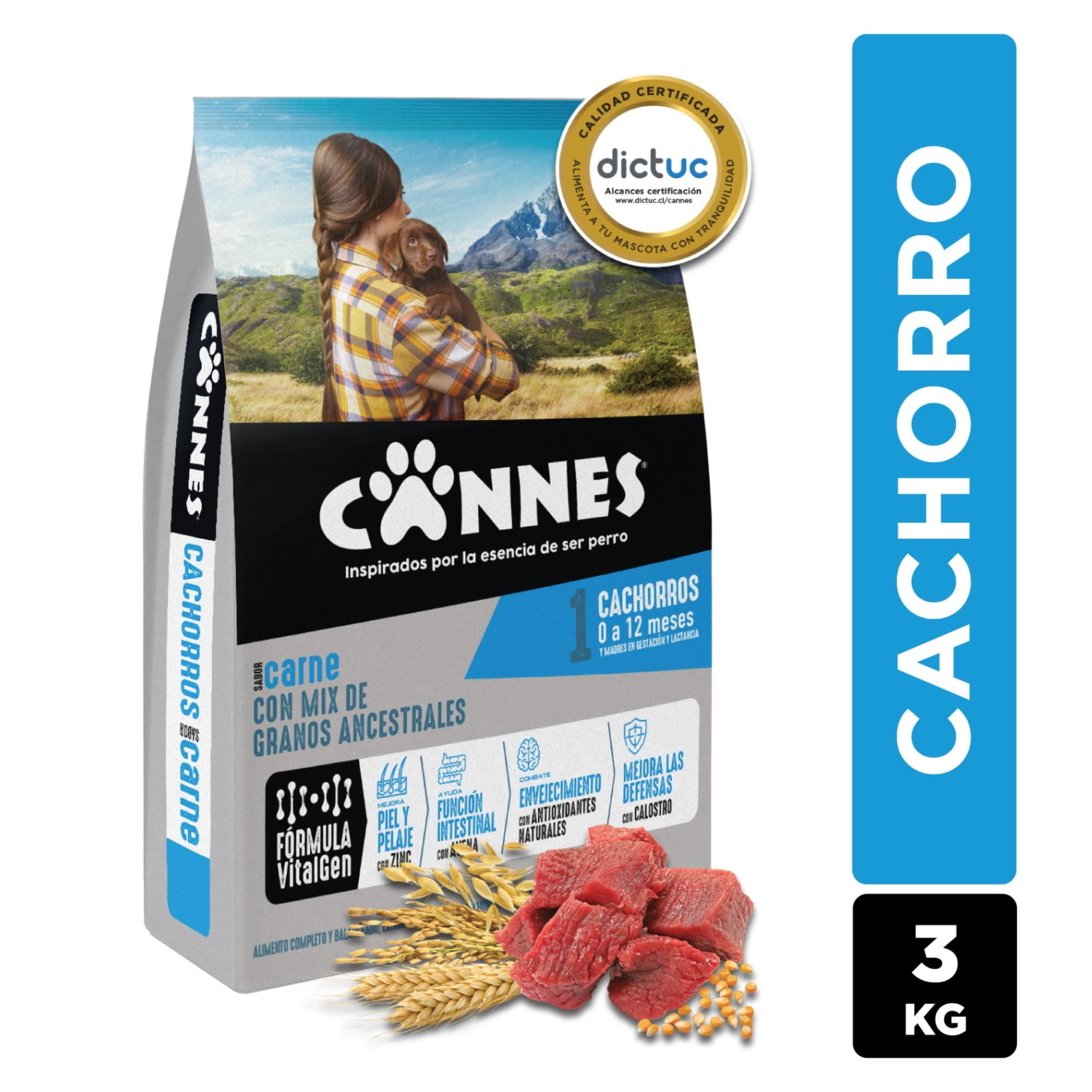 Alimento Seco Cachorro Carne Y Cereales Bolsa 3 Kg Cannes