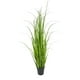 thumbnail image 1 of Pasto Crespo 122cm Artificial, 1 of 3