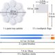 thumbnail image 3 of Kit de modelo del Sistema Solar Ourtroness 47 piezas – proyecto STEM, 3 of 7