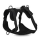 thumbnail image 1 of Arnés Paws Negro / L, 1 of 2