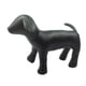 thumbnail image 1 of 1PC Perro Maniquí PU Cuero Posición De Pie Para Exhibir Juguetes Para Perros Negro M, 1 of 5