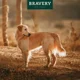 thumbnail image 2 of Bravery Herring Senior Razas Grandes y Medianas 12 Kg, 2 of 2