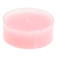 Homewell - Cactus Artificial 5*8Cm