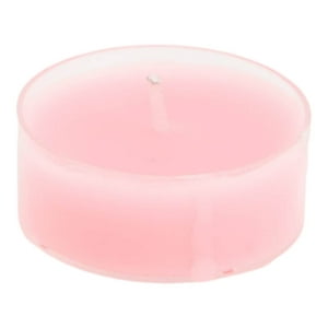 Homewell - Cactus Artificial 5*8Cm