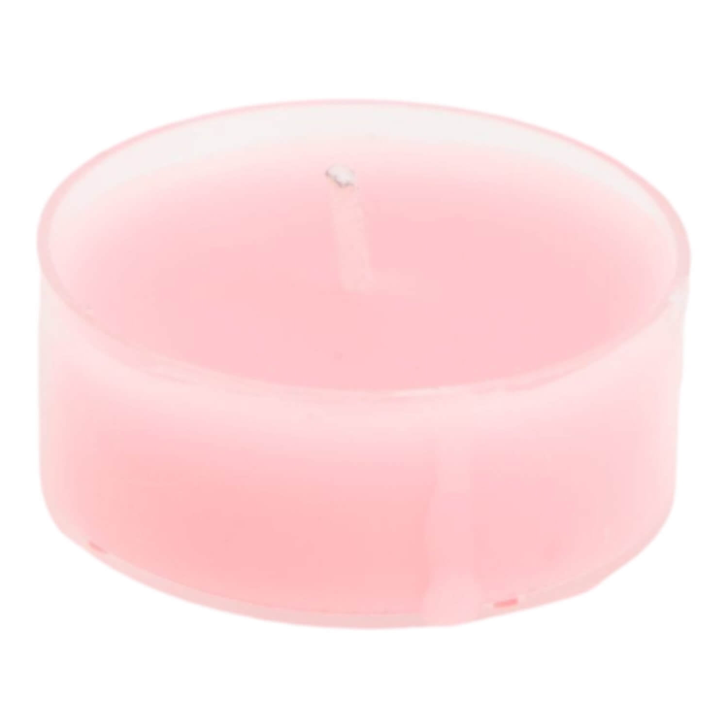 Homewell - Cactus Artificial 5*8cm