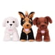 thumbnail image 2 of Adopta 3 perros - Bichon Frise, Yorkshire Terrier & Labrador chocolate, 2 of 3