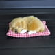 thumbnail image 2 of Juguete de Perro Durmiendo Simulado Tounlinx Perro Adorable con Sonido, 2 of 3