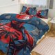 thumbnail image 1 of Spiderman Bedding Sets for Kids Men Women Twin Size, 1 of 5