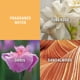 thumbnail image 3 of Perfume de baño en polvo Evyan White Shoulders para mujer 75 ml, 3 of 3