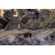thumbnail image 4 of Gafas de Sol Suncloud Respek Marrón Polarizadas Talla Única, 4 of 6