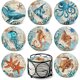 thumbnail image 1 of Teivio Absorbing Stone Sea Ocean Life Coasters for Drinks, Set de 8, 1 of 3