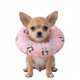 thumbnail image 1 of Collar Isabelino Suave Ajustables Talla S Mod 10, 1 of 3