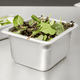thumbnail image 3 of Contenedor gastronómico acero inoxidable GN 1/6 1,5 L, 3 of 3
