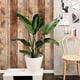 thumbnail image 3 of 1pc Brown Wood Peel And Stick Wallpaper, 17.8inch * 118.8inch/17.8 Inch * 236inch, Self Adhesive Removable Wood Grain Wallpaper For Wall Covering, 3 of 5