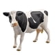 thumbnail image 3 of Figurita De Vaca Hecha A Mano, Regalo Coleccionable, Juguete Educativo, Decoración Para Tartas, 3 of 5