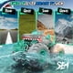 thumbnail image 3 of Coche RC Salazaza 1:16 4WD Impermeable Tiburón con Control Remoto, 3 of 8