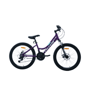 Bicicleta Totem Mtb Aro 24 Modelo Sitara Morado