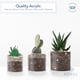 thumbnail image 4 of Jarrones de flores Royal Imports con cilindros acrílicos, 3 unidades, transparentes, 4 of 6