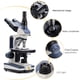 thumbnail image 4 of Microscopio compuesto SWIFT SW350T Trinocular 40X-2500X, 4 of 8