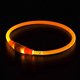 thumbnail image 3 of Collar LED para perro, collares iluminados para perro, luces recargables para perros para paseos nocturnos, 3 of 5