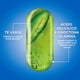 thumbnail image 5 of Shampoo Garnier Fructis Anticaspa Normal Pack, 700 ml, 5 of 5