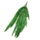 thumbnail image 1 of Arte De La Pared De La Planta Del Helecho Artificial Que Cuelga La Hoja Plástica Del Helecho De La Rota Persa, 1 of 5