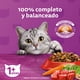 thumbnail image 5 of Alimento Seco Gato Adulto Sabor Carne Bolsa, 1 Kg, 5 of 9
