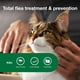 thumbnail image 3 of Tratamiento y prevención de pulgas Advantage II para gatos grandes de 9 libras o más, 3 of 8