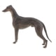 thumbnail image 1 of Simulación Animal Salvaje Modelo Figura Juguetes Estatuilla Decoración Para El Hogar Greyhound A, 1 of 5