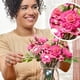 thumbnail image 2 of Kit de Escultura Play‑Doh Blooms Blush – Ramo de Flores, 2 of 8