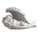 thumbnail image 5 of Bebé ángel En Alas Estatua Estatuilla Decoración Del Hogar Querubín Escultura 21x10x13cm, 5 of 5