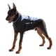thumbnail image 1 of Parka Impermeable Para Perros Medianos Reflectante Y Con Arnés - XL, 1 of 3