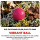 thumbnail image 5 of Pelotas de Golf Kamlaku de Color 42,7 mm 45 g 2‑piezas, 5 of 6
