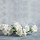 thumbnail image 5 of Uxcell 3mm Estambres de Flores de Doble Cabeza, 150 Piezas de Pistilo de Estambre de Flores Artificiales Mate para Decoración Navideña de Bricolaje, Blanco, 5 of 7