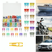 Genérico - Kit Fusible 300 Unidades Eléctricos 12V Autos Motos + Pinza