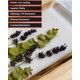 thumbnail image 2 of Kit de resina epoxi EcoPoxy FlowCast SPR 12 L resistente a los rayos UV, 2 of 8