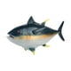 thumbnail image 4 of Modelo De Figuras De Animales De Peces Realistas Modelo De Atún De Simulación Para Niñas Y Niños Amarillo, 4 of 5