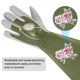 thumbnail image 4 of Guantes de jardinería para mujeres Uxcell a prueba de espinas, guantes de jardín de cuero extra largos medianos para podar rosas, verde, 4 of 5