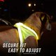 thumbnail image 2 of Arnés para perros Noxgear LightHound iluminado por USB recargable, 2 of 9