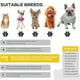 thumbnail image 3 of Botas Para Perros De Patas, Zapatos Antideslizantes De Cuatro Estaciones, Con Banda Reflectante, Para Perros Pequeños Y Medianos, Juego De Cuatro Piezas, Tamaño: 5 Yardas, 3 of 7